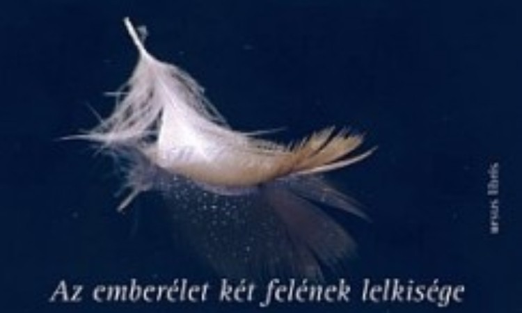 Richard Rohr: Emelkedő zuhanás - Az emberélet két felének lelkisége