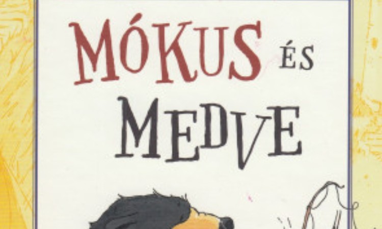 Andreas H. Schmachtl: Mi folyik itt? - Mókus és Medve 3.