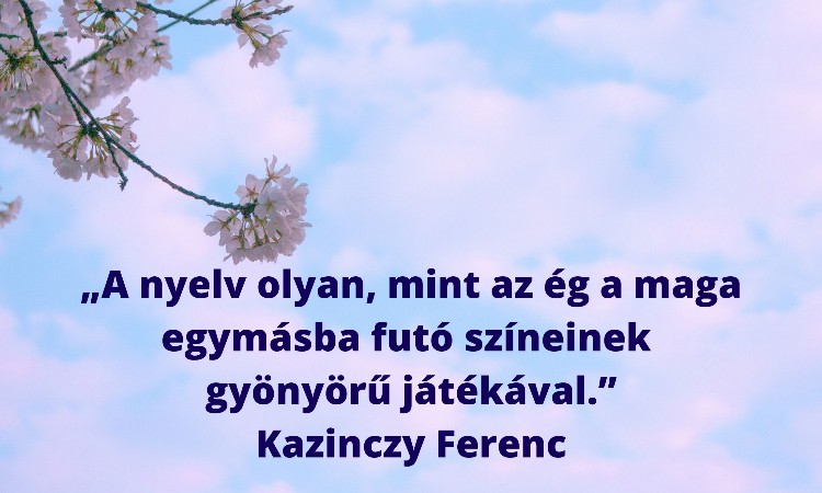 Kazinczy, a nyelvújító