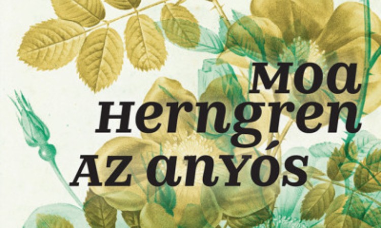 Moa Herngern: Az anyós