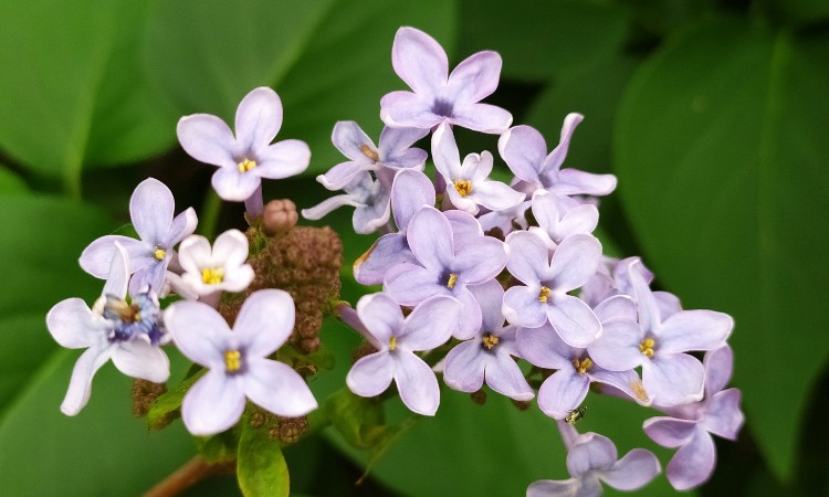 A költészet világnapja versekben :: 2024.03.18-24.