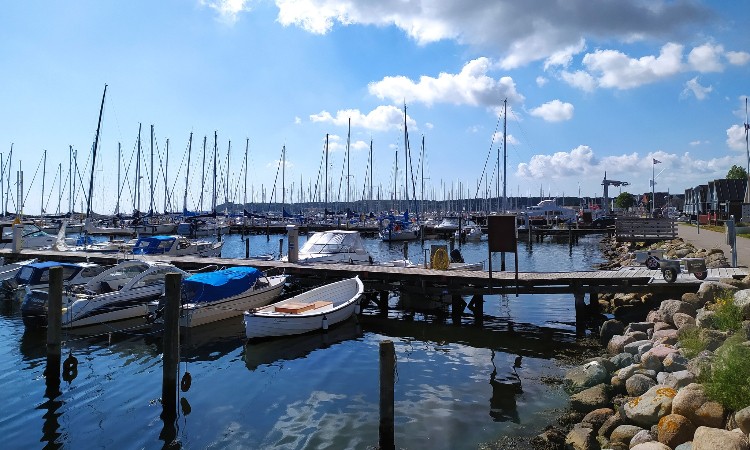 A nyár szépségei képeken - Wekerlei világjárók :: 2025.07.05-31.