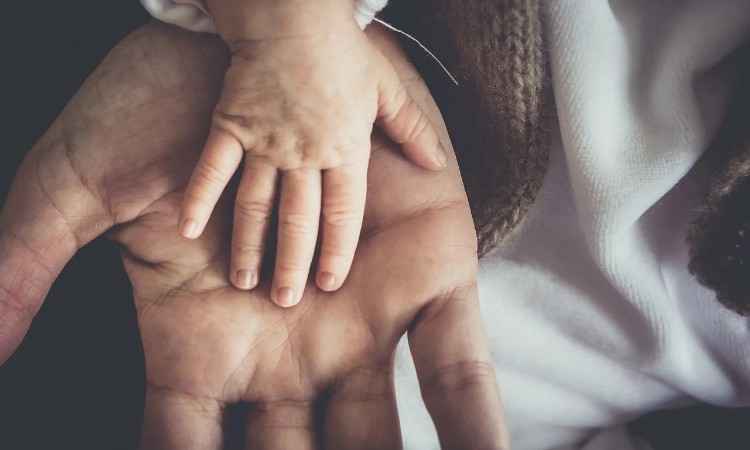 Aktuális kulturális - Apák napja