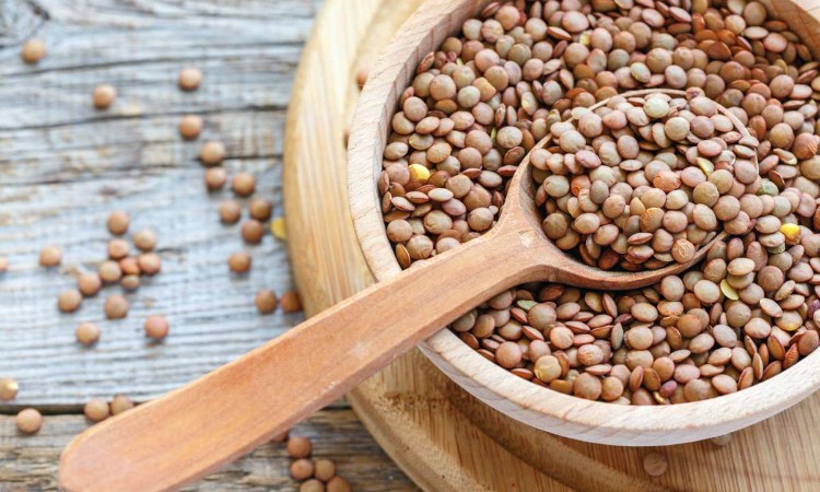 Újévköszöntő verselés - Versbarátok Klubja :: 2024. 01. 12.