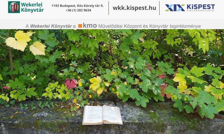 2021. évi november havi programok a Wekerlei Könyvtárban