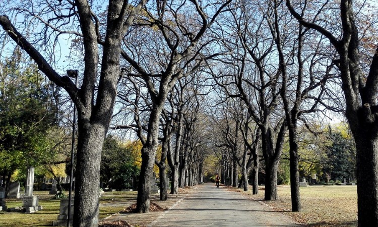 2019. évi november havi programok a Wekerlei Könyvtárban