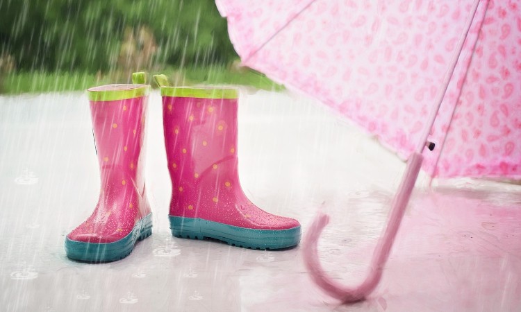 Aktuális kulturális - Medárd napja