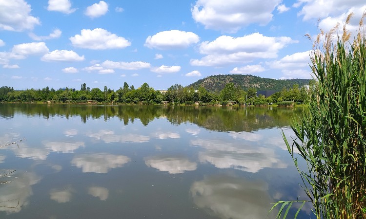 Nyár könyvtárosszemmel - Wekerlei világjárók