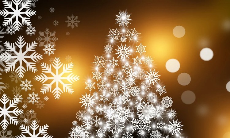 2020. évi december havi programok a Wekerlei Könyvtárban