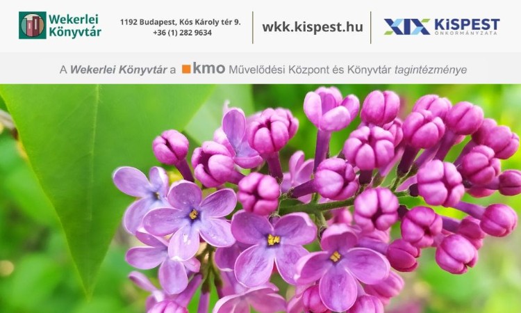 Pedagógusnapi köszöntő