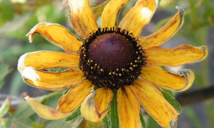 2019. évi szeptember havi programok