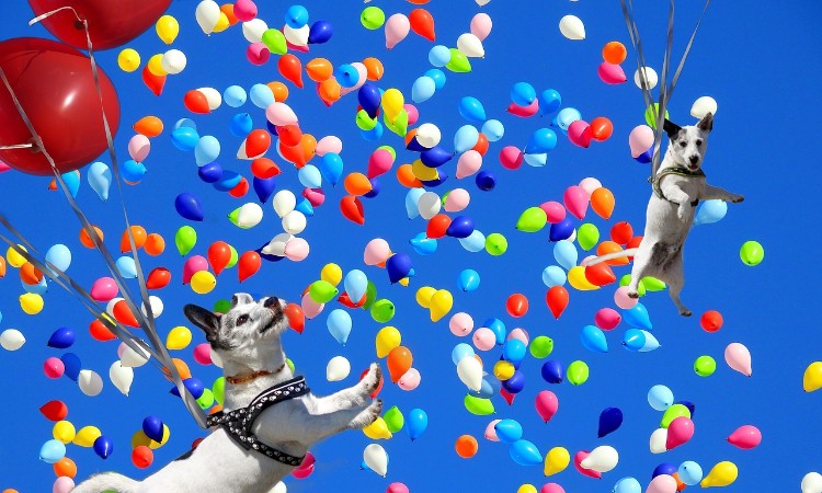 Heti színes gyerekeknek és felnőtteknek