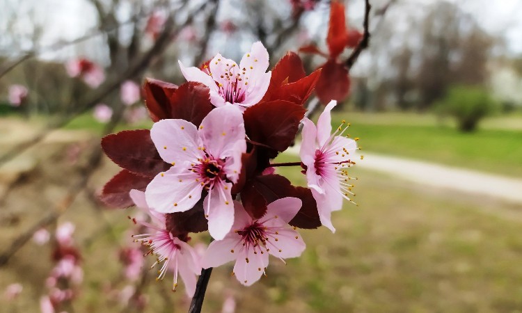 2023. évi március havi programok a Wekerlei Könyvtárban