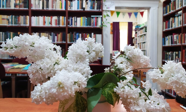 2022. évi április havi programok a Wekerlei Könyvtárban