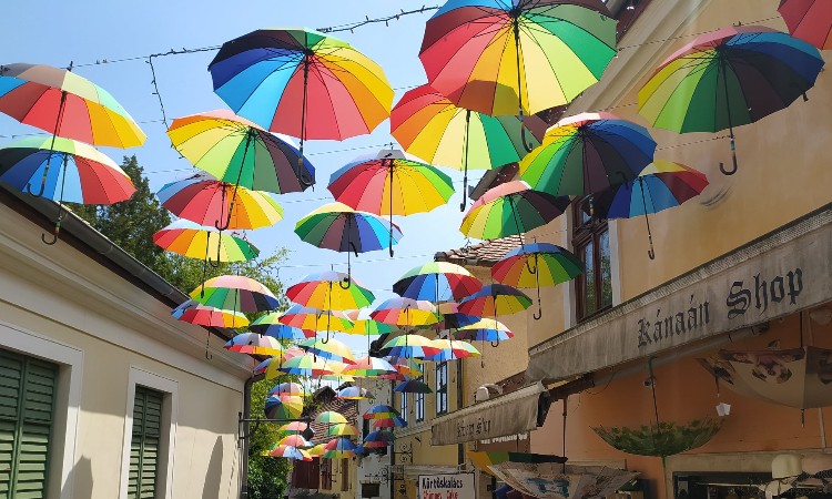 2021. évi augusztus havi programok a Wekerlei Könyvtárban