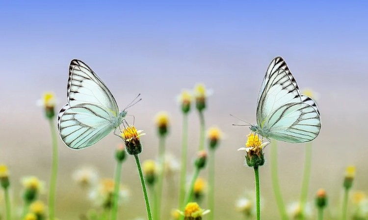 Péntek esti mesék - Egy tavaszváró mesés est