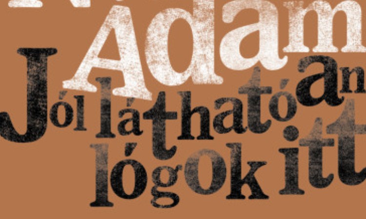 Nádasdy Ádám: Jól láthatóan lógok itt