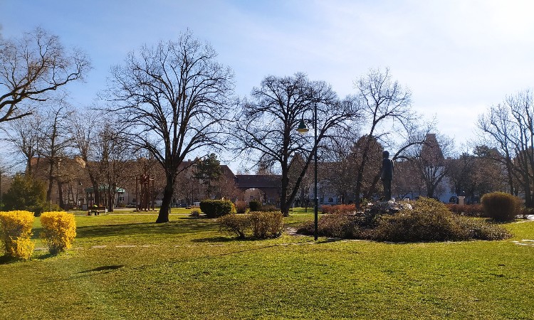 Tavaszváró fotós séta - Színes, illatos tavasz Wekerlén  - Wekerlei világjárók :: 2024. 02. 16-29.