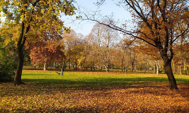 Wekerlei világjárók - „Budapest tündérkertje"
