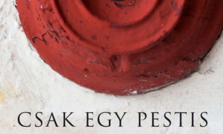 Ljudmila Ulickaja: Csak egy pestis