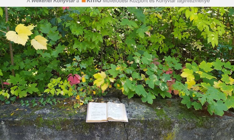 Szeptemberi online versek hete