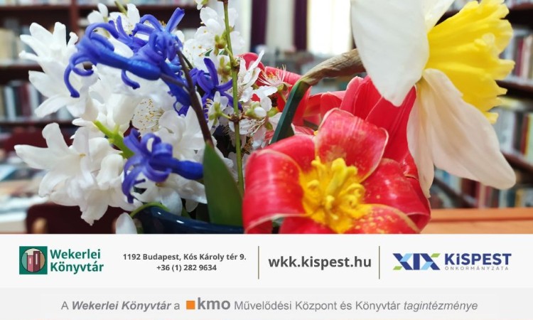 2023. évi június havi programok a Wekerlei Könyvtárban