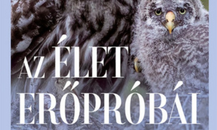 David Attenborough: Az élet erőpróbái