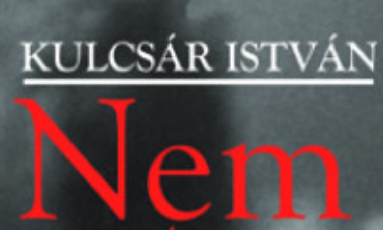 Kulcsár István: Nem ezt ígértétek! - Regénynek álcázott korrajz