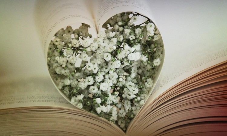 Nyári olvasmányajánló :: 2025.08.11-17.