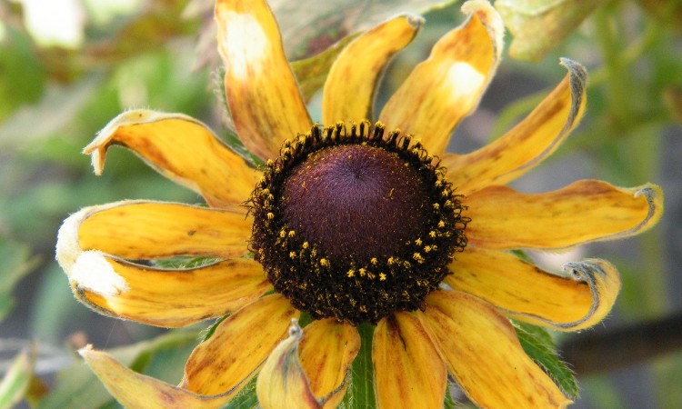 2022. évi szeptember havi programok a Wekerlei Könyvtárban