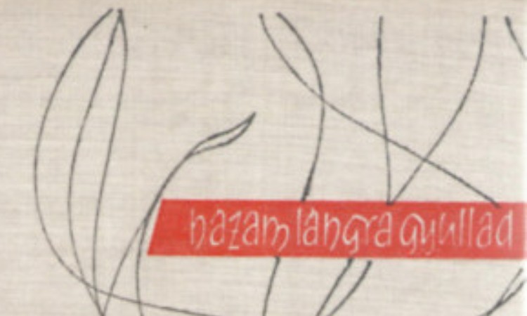 William Styron: Házam lángra gyullad