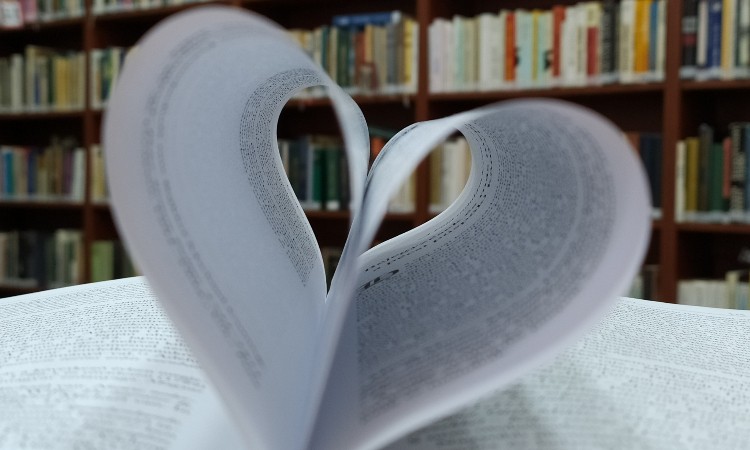 2025. évi november havi programok a Wekerlei Könyvtárban