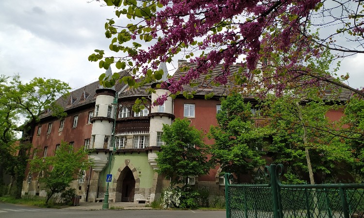 Tavaszváró fotós séta - Wekerlei világjárók :: 2026.02.09-28.