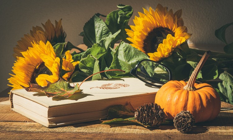 2020. évi október havi programok a Wekerlei Könyvtárban