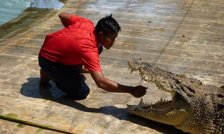 Csodás Malajzia - Wekerlei világjárók :: 2024.05.10.