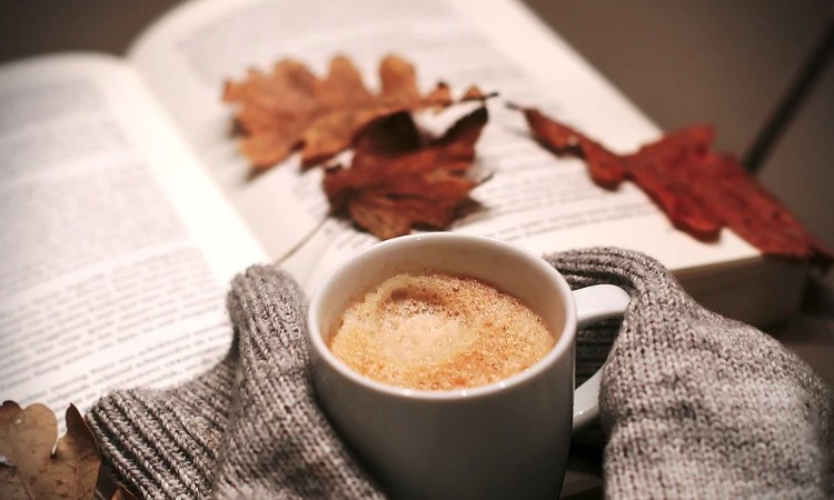 2020. évi szeptember havi programok a Wekerlei Könyvtárban