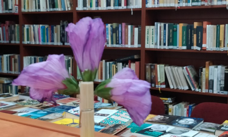 2024. évi májusi programok a Wekerlei Könyvtárban