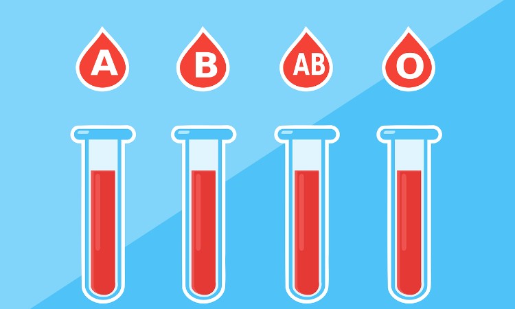 Aktuális kulturális - Véradók világnapja
