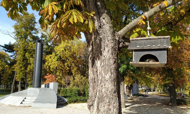 Fotós séta az Orczy-parkban - Wekerlei világjárók :: 2025.09.12-30.