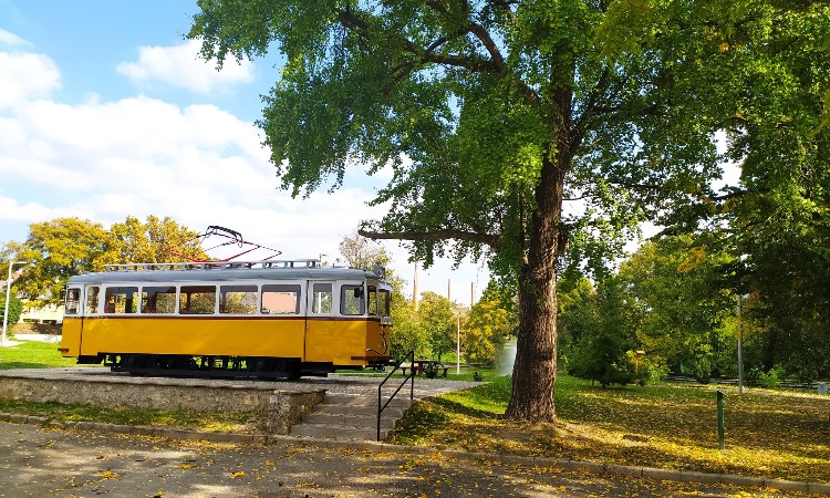 Pécs - őszi színkavalkád fotókon - Wekerlei világjárók :: 2023. 10. 20-31.