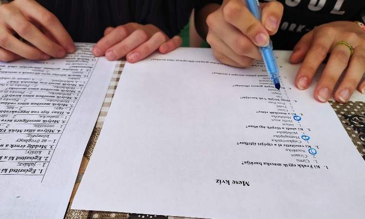 Kispesti Városünnep