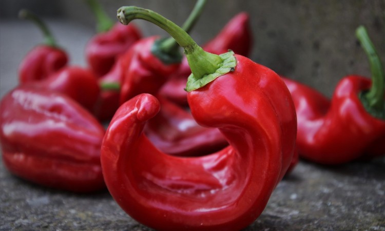 Aktuális kulturális - Magyar feltalálók napja