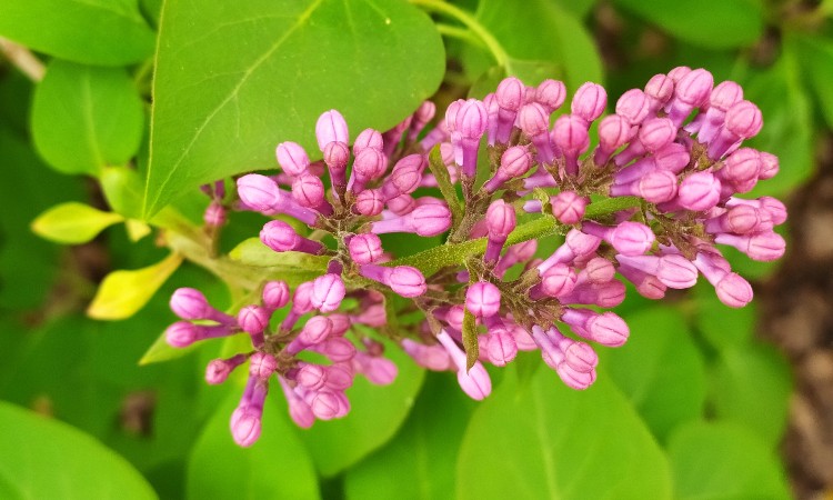 2024. évi áprilisi programok a Wekerlei Könyvtárban