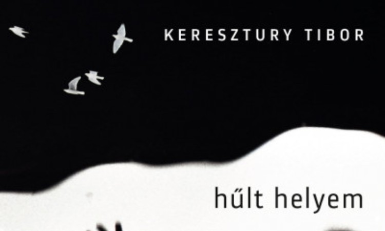 Keresztury Tibor: Hűlt helyem