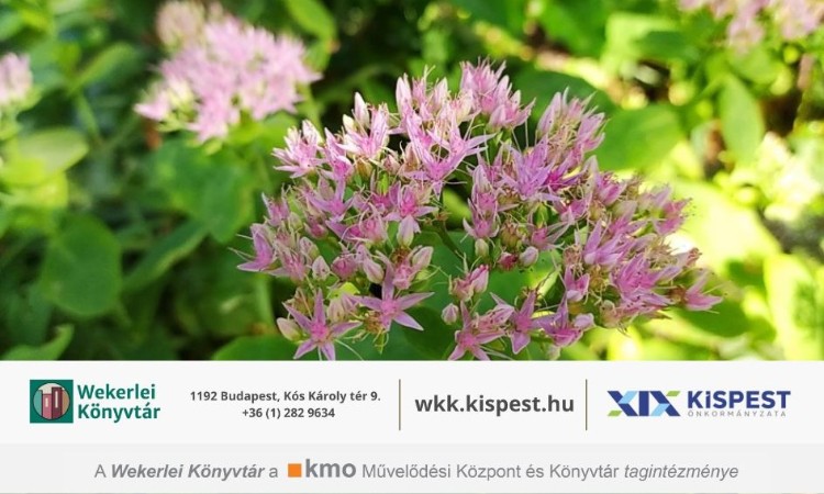 Versek anyákról és gyermekekről - Versbarátok klubja