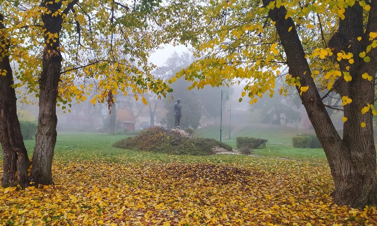 Őszi Wekerle képeken - Wekerlei világjárók :: 2023. 11. 20-30.