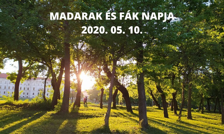 Aktuális kulturális - A madarak és fák napja /május 10./